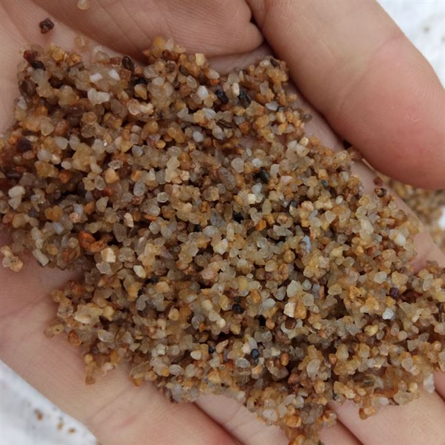 雨林细沙化妆天然河沙鱼缸底沙水草造景沙子造景