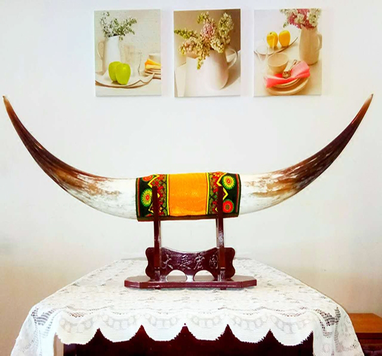 牛角天然摆件公司工艺品玄关客厅书房居家居家装饰摆件