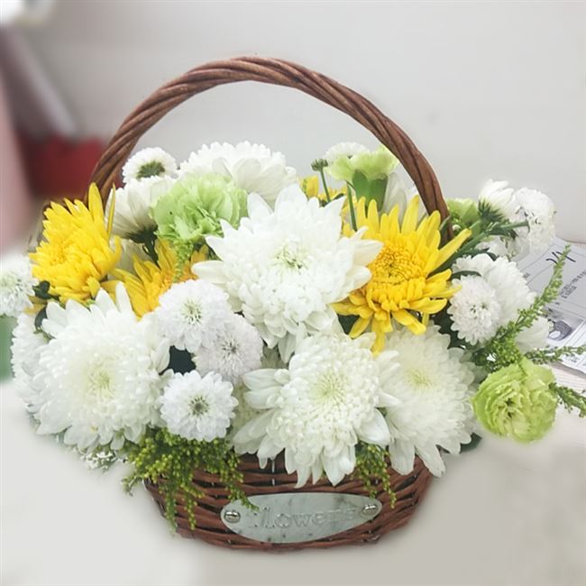 冬至清明节菊花束鲜花速递同城北京南京上海天津合肥扫墓祭奠葬礼