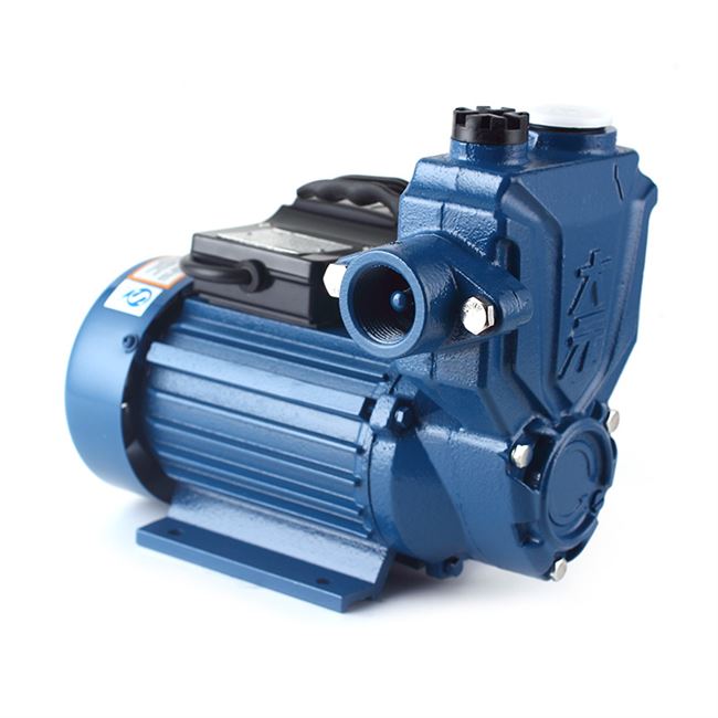 wzb自吸单相高压循环泵高扬程家用增压125w水泵