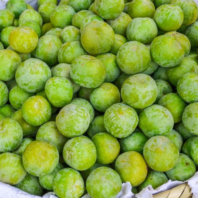 李子新鲜水果现货四川本地非茵宜宾重庆巫山礼品袋