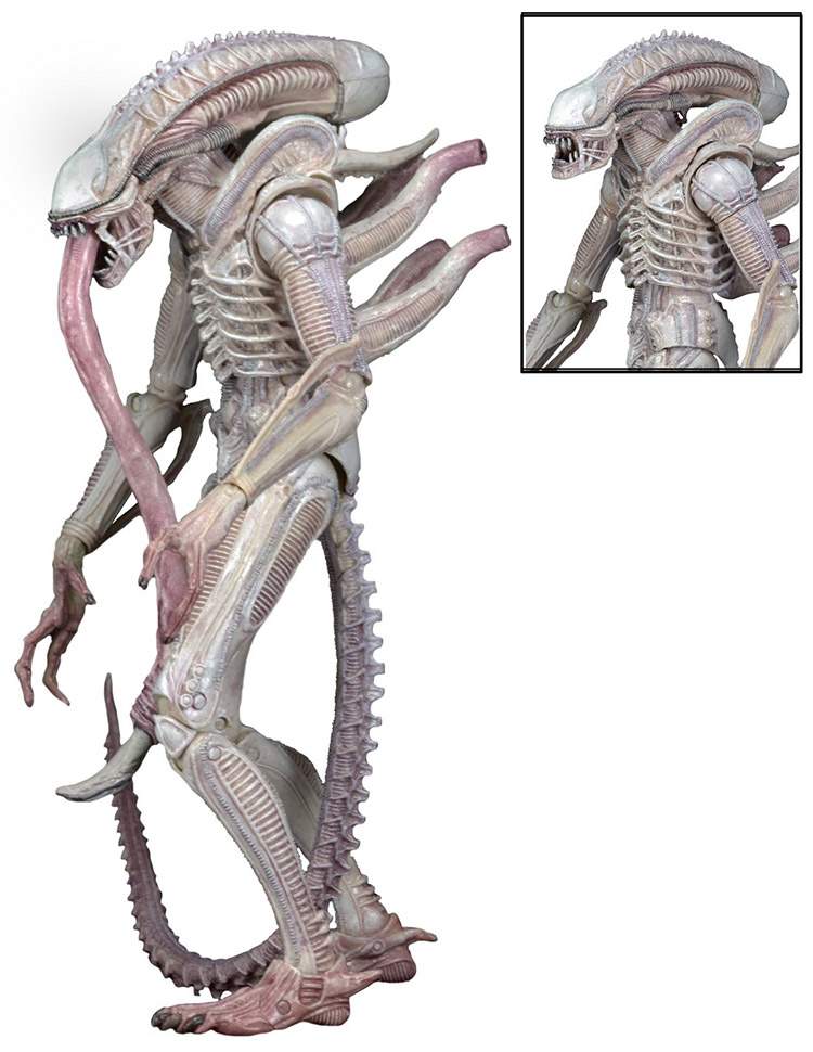异形neca契约aliens白化电影可动手办潮玩盲盒