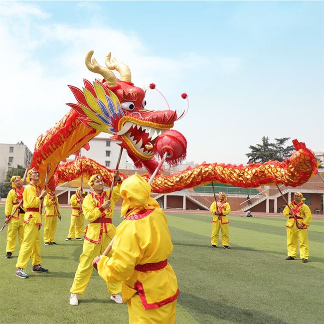 节龙烫金龙龙头服装舞龙灯灯光龙钢丝龙绸布龙舞龙舞狮道 9 国标