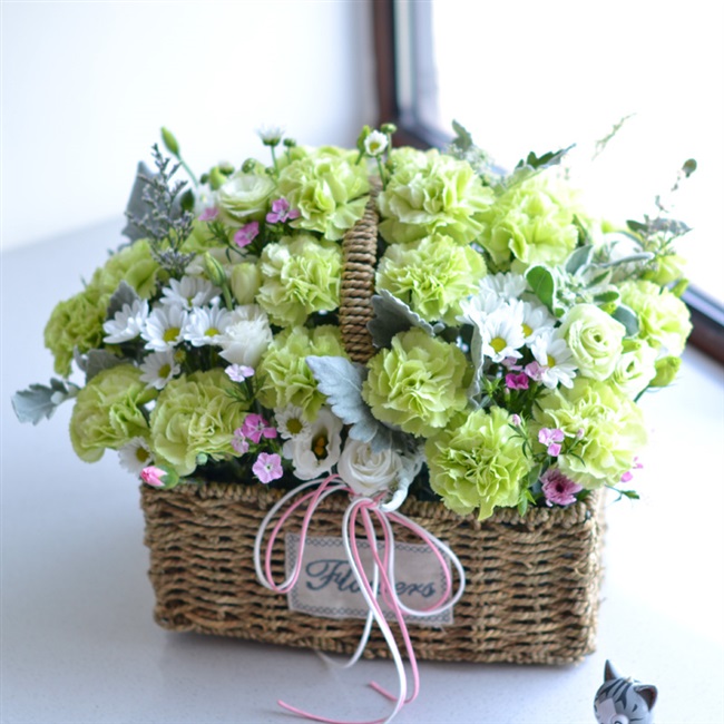 绿色康乃馨花篮杭州鲜花速递同城南京上海鲜花速递(同城)