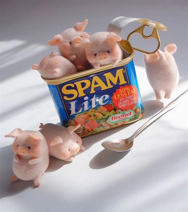 热卖cicistory罐头猪盲盒lulu猪手手办潮流公仔摆件潮玩盲盒