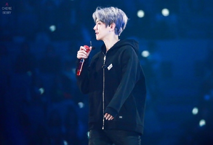 exo同款四巡演唱会周边应援拉链连帽衣服伯贤卫衣