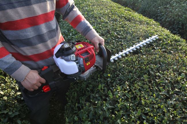 茶叶重修修剪电动汽油剪茶机茶树机割草机绿篱机剪枝机割草机