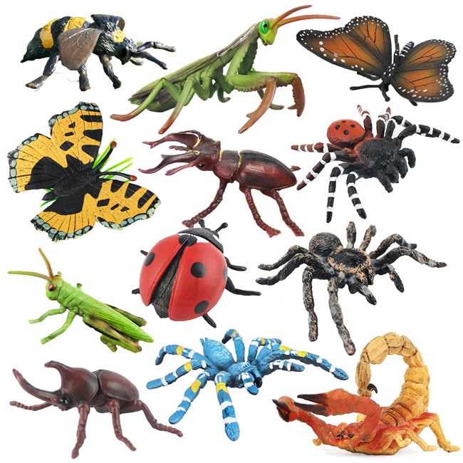 🐝仿真昆虫玩具动物模型蜜蜂知了蝴蝶蚂蚱螳螂七星瓢虫儿童认知礼物