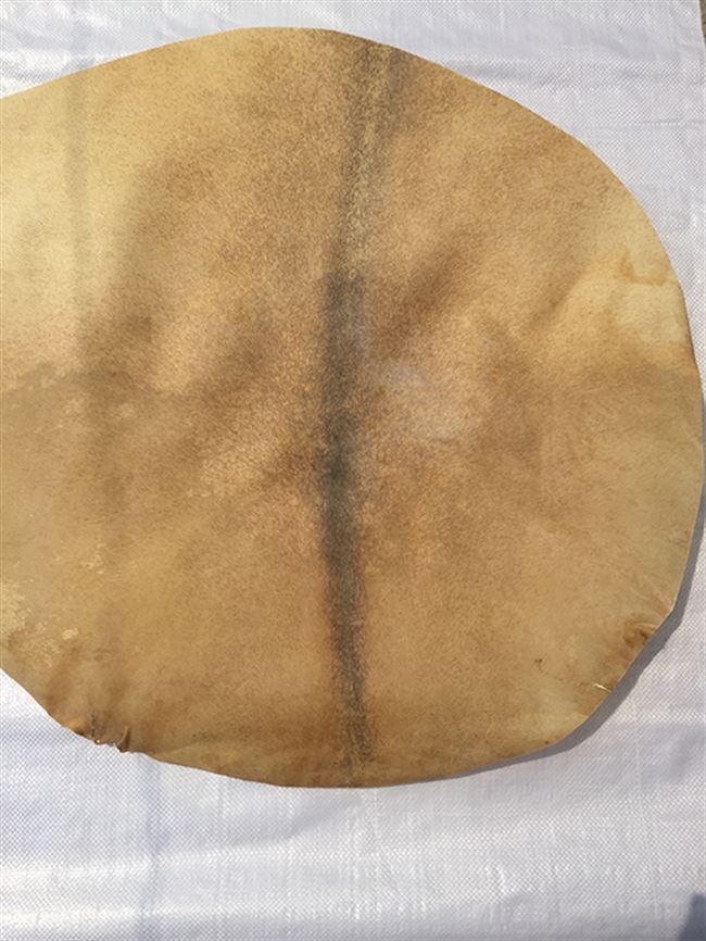 非洲鼓皮手鼓脊背专用12寸支持定制更换鼓面非洲鼓