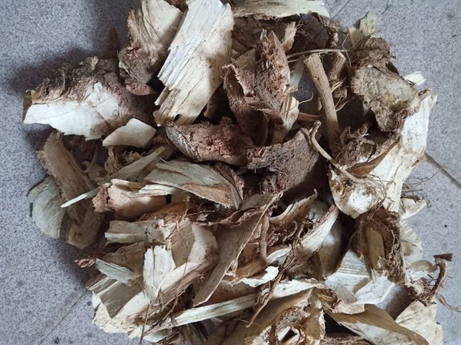 野生树根芙蓉草药木芙蓉根小桐子500克包邮包裹袋