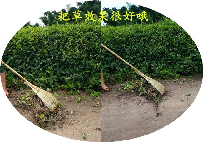 欧洲进口代打油菜籽工具竹子做捞水草耙子