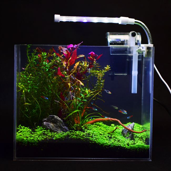壁挂式水草立体台式斗鱼鱼缸家用水族箱亚克力草缸鱼缸
