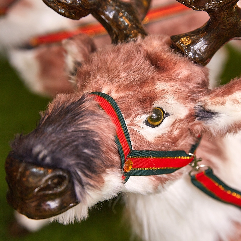 圣诞节装饰大型圣诞老人麋鹿驯鹿雪橇车鹿拉车一套圣诞装饰品