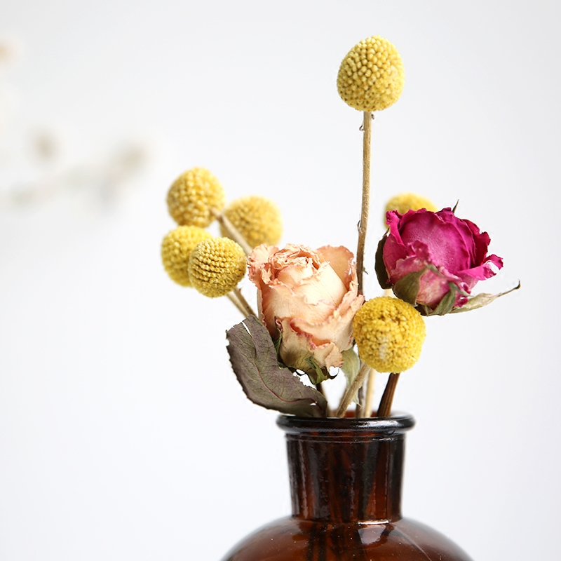 黄金球天然进口干花花束北欧风小家居客厅摆件diy插花ins拍照道具