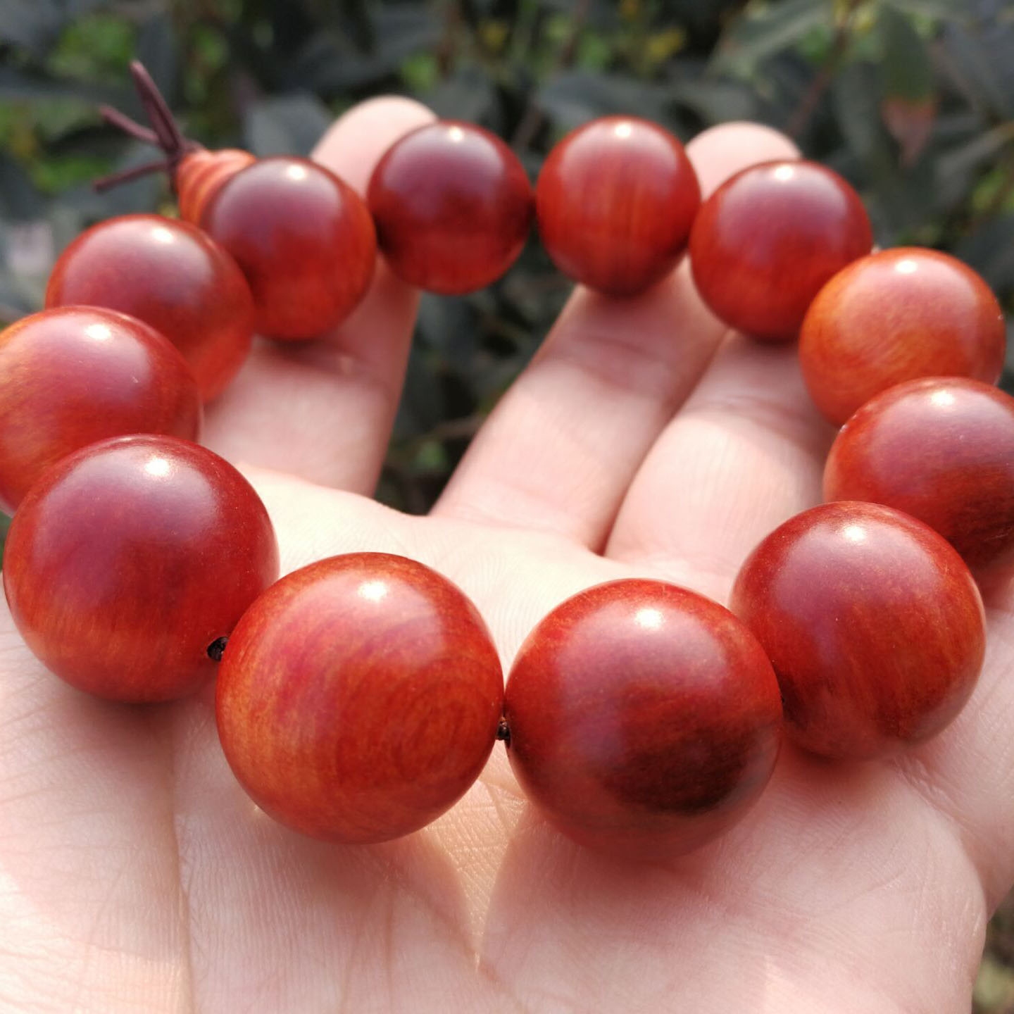 正宗印尼帝王血龙木颗颗打光全透男款女款手串佛珠