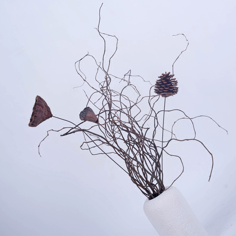 拍摄柳枝龙柳枝道具树枝龙柳干枝干花艺术摆设干花