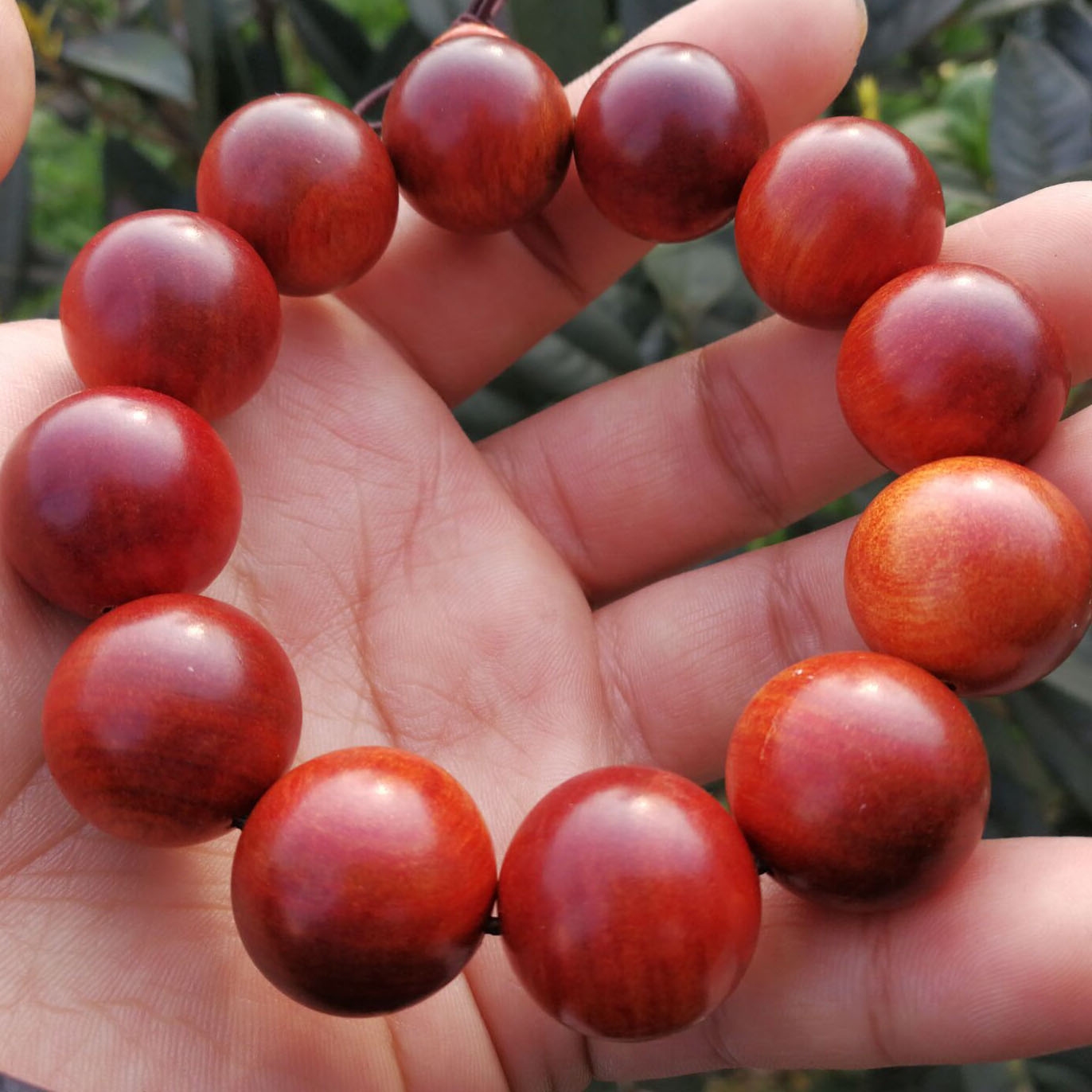 正宗印尼帝王血龙木颗颗打光全透男款女款手串佛珠