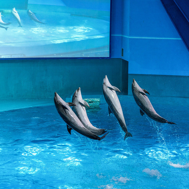 世界南昌融创海大门门票成人亲子初夏特惠国内票务