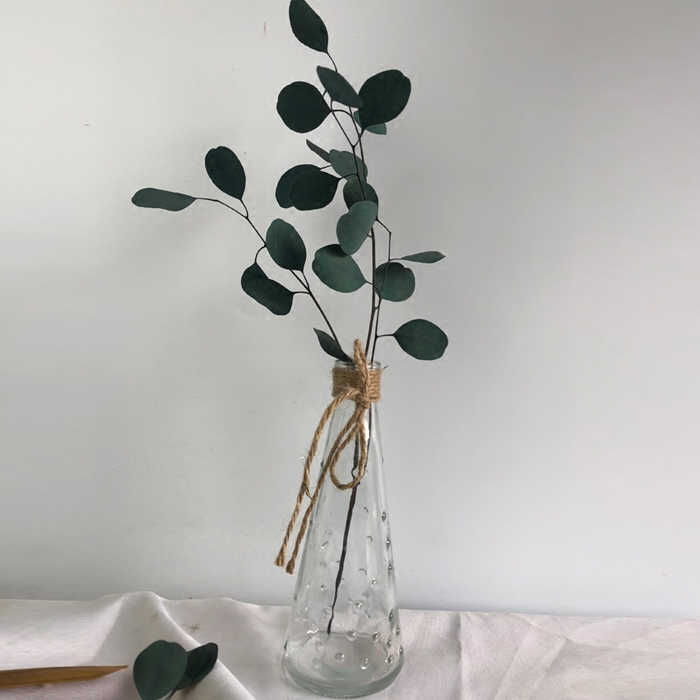 荷兰进口圆叶尤加利叶脉纹路永生花高级花束精选干花