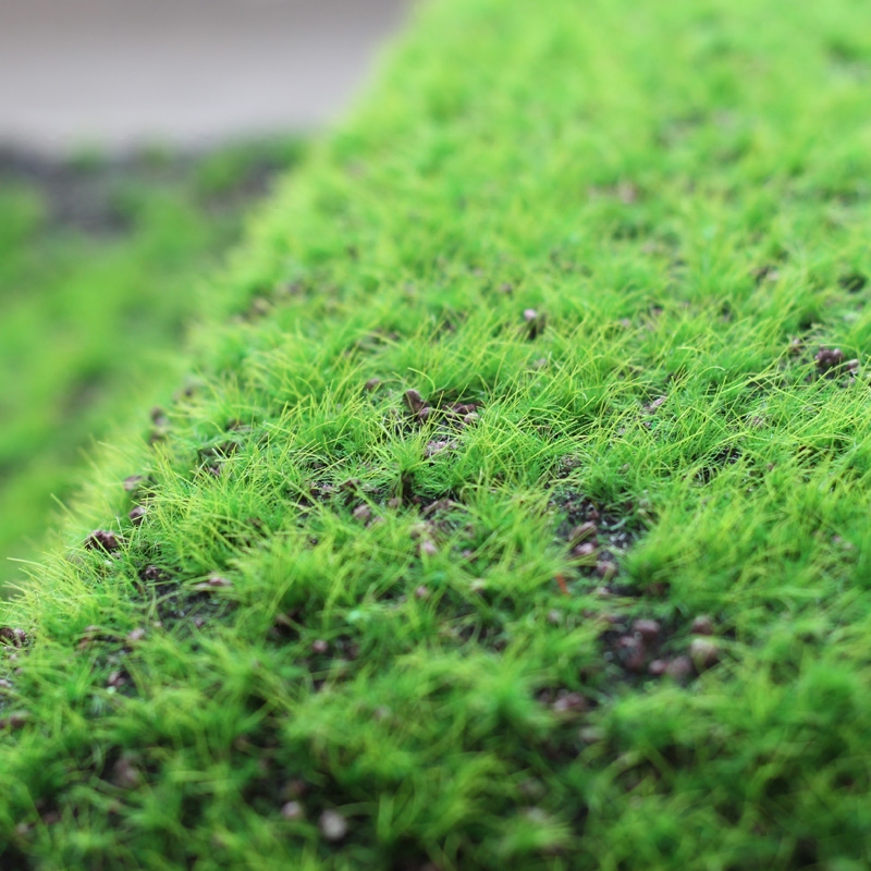 觅点仿真绿植草皮草坪植物天然树皮森系园艺diy仿真材料