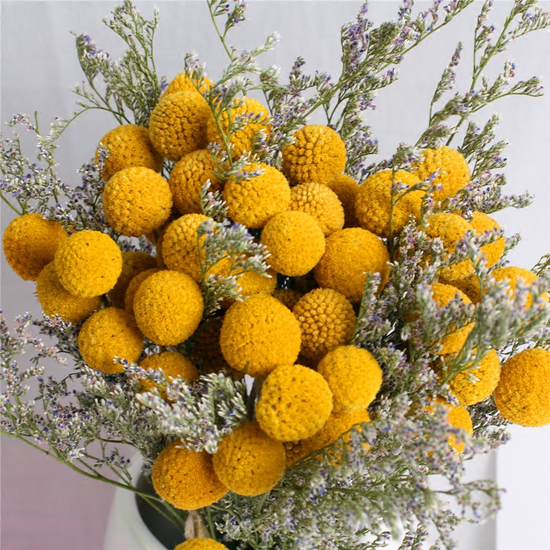 黄金球干燥插花diy日式花束客厅摆件家居装饰卧室干花