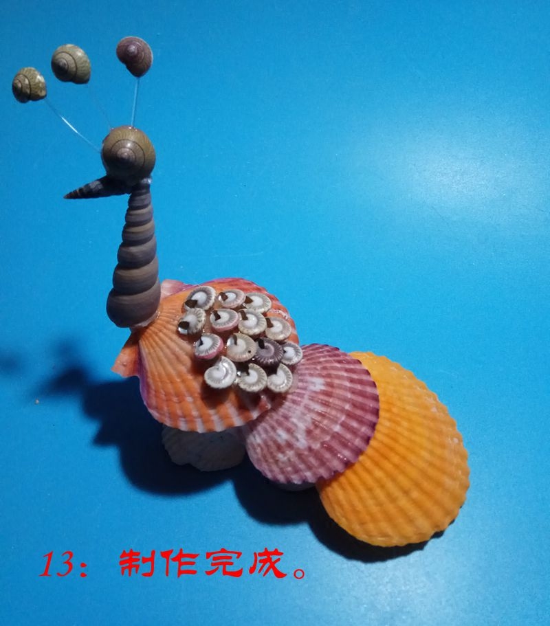 手工5个材料单位学校包学校成品包邮制作手工制海螺