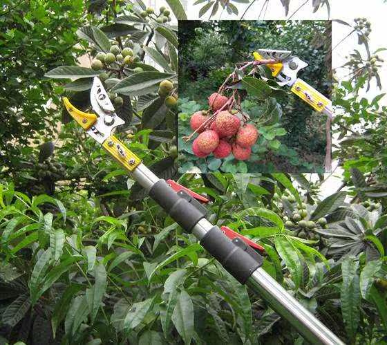 家用园艺剪摘神器伸缩加长高空无花果枇杷工具园艺剪