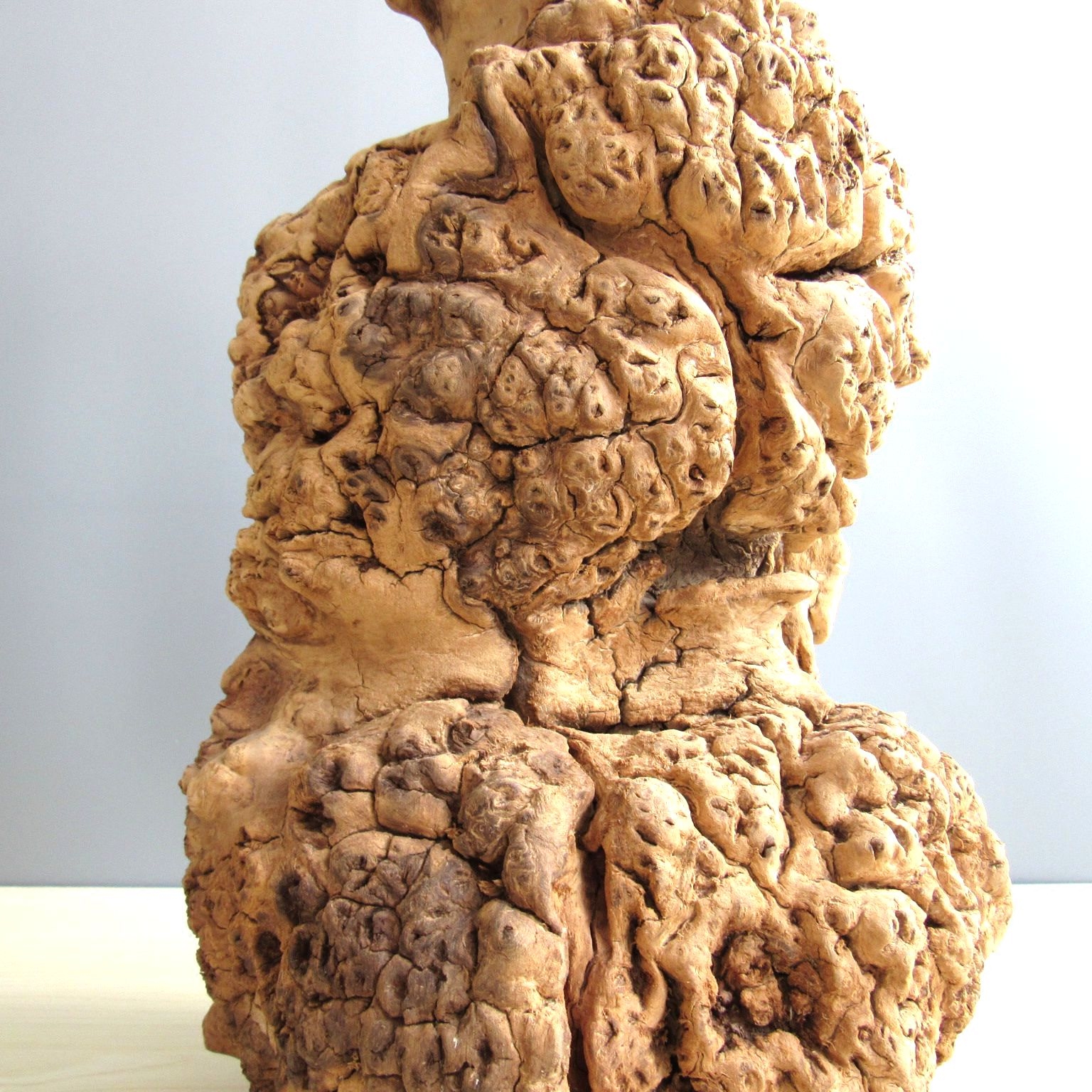 千年枯木禅意办公室家居木随风化古木胡杨木古树摆件