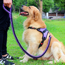 Carrying two large dog traction ropes with explosion-proof impact and anti bite function