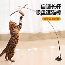 Cat teaser tool suction cup feather cat teaser stick