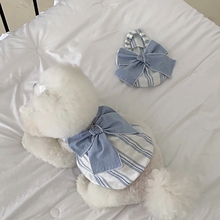 Pet clothing, cat bear, teddy dog dress