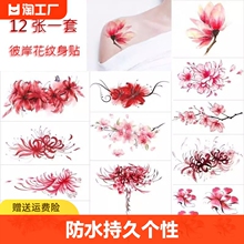 Watanabe Flower Tattoo Sticker Waterproof Manzhu Sha Hua