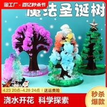 Blooming Colorful Christmas Tree Watering for Growth