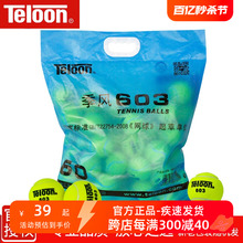 Tianlong Tennis 603 Durable Professional Training Ball