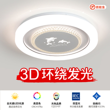 Internet famous LED ceiling light, modern and minimalist bedroom light