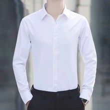 Autumn and summer long sleeved pure white shirt for men