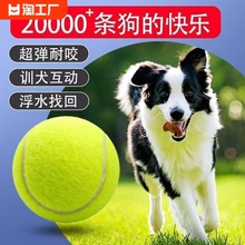 Dog toy ball is a self congratulatory tool for relieving boredom. Pet border collie Golden Hair Keji Bite resistant Ball Training Molar Tennis Rubber