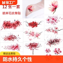 Watanabe Flower Tattoo Sticker Waterproof Manzhu Sha Hua