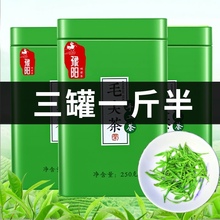 Buy one kilogram and get half a kilogram of 2024 New Tea Xinyang Maojian Tea Green Tea Strong Aroma and Durable Stir fried Green Tea in Bulk 750g