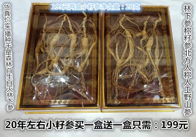 野山人参功效 野山人参的功效 野山人参价格 图片 淘宝海外