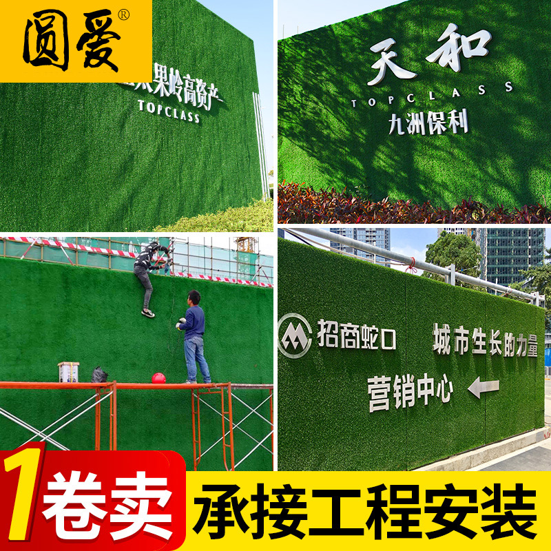 天台墙草装饰新品 天台墙草装饰价格 天台墙草装饰包邮 品牌 淘宝海外