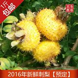 2016年贵州野生刺梨鲜果500g 维生素C之王