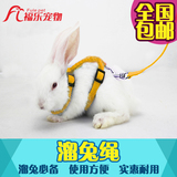 遛兔绳 牵引绳子溜兔绳牵引带 兔子用品兔邮