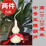 天然精品中号葫芦摆件挂件招财纳福化煞镇宅