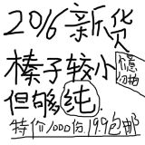 铁岭野生榛子 坚果零食500g 水漏榛子 东北