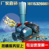 高速三叶铸铁罗茨风机曝气机4.0K虾专用强力