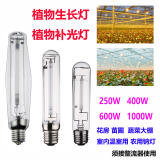 花卉种植灯植物照明补光灯农用钠灯100W150W