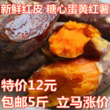 农家自种 新鲜地瓜红皮番薯生红薯 红皮黄壤