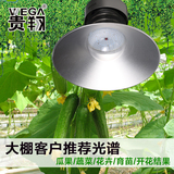 LED植物生长灯大棚蔬菜花卉西红柿补光灯