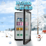 新力冰箱 立式冰柜 小型冷冻冷藏柜 展示柜